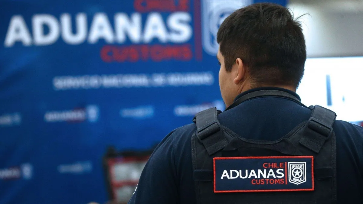 Aduanas incauta 16 artículos de pelaje de especies protegidas en San Antonio, se investiga a importador