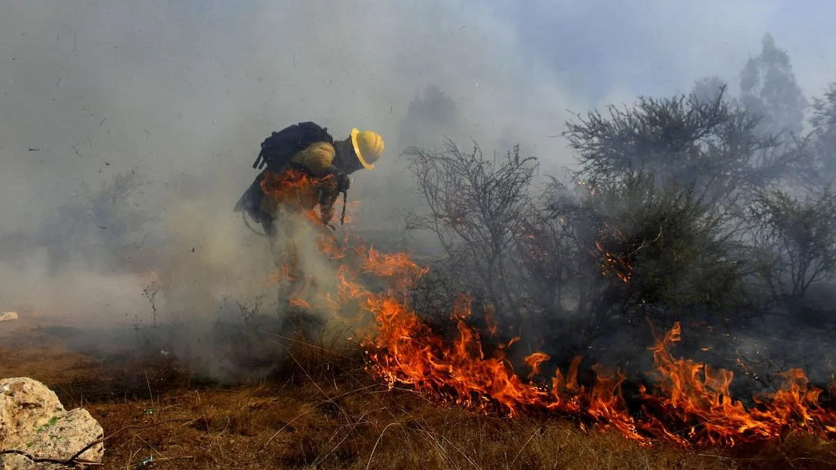 Alerta Roja en Pinto por incendio forestal que ya ha consumido 2 hectáreas y amenaza zonas pobladas