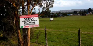 Denuncian estafas en venta de terrenos: 100 reclamos en Sernac por "Parcelas en verde".