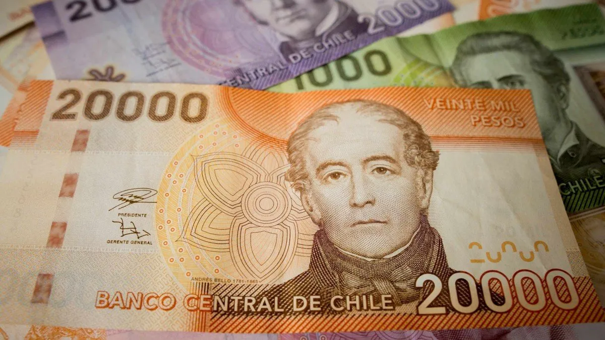 Afiliados al Seguro de Cesantía: ¿Cómo acceder a beneficios y retiros de fondos?