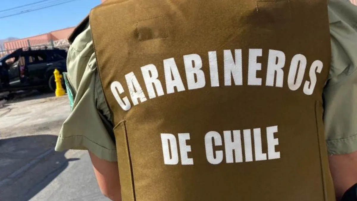 SernamEG Los Lagos rechaza agresión de carabinero a su pareja en Ancud.