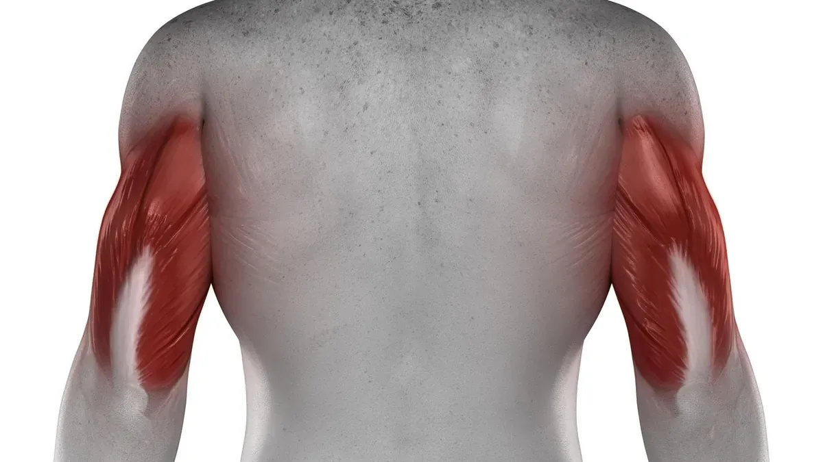 Fortalece seus tríceps em casa com 5 exercícios simples e eficazes.