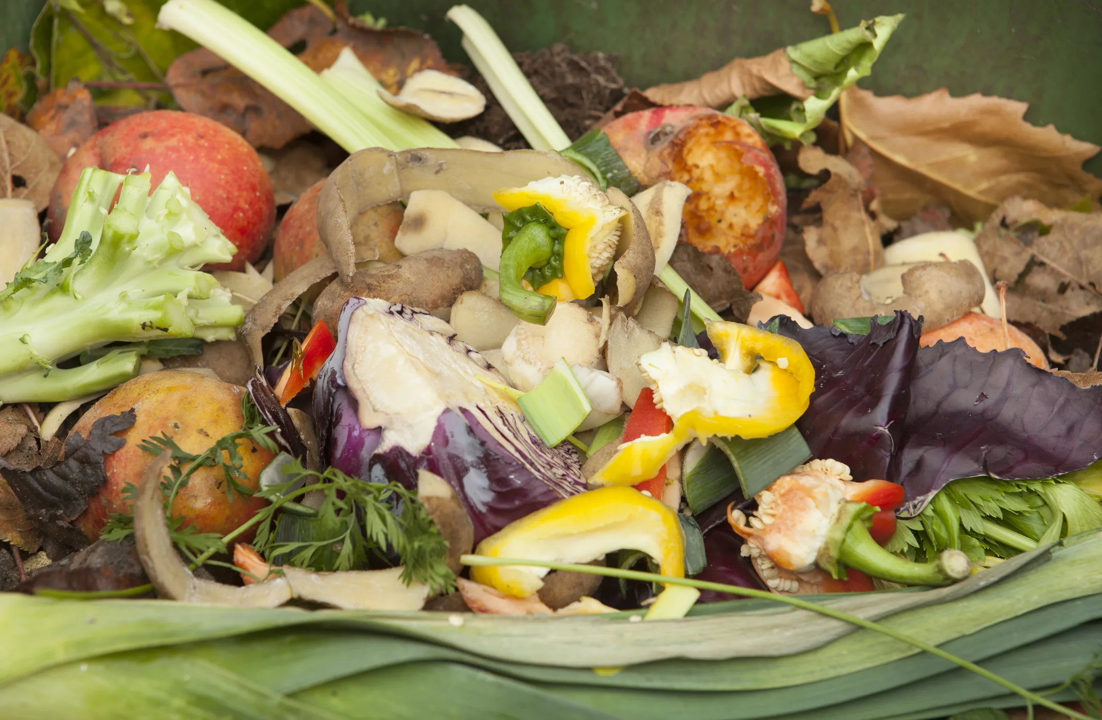 Hogares chilenos desperdician más del 60% de sus alimentos: el avance pendiente hacia una gastronomía sostenible