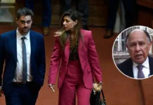 Diputados Manouchehri y Cicardini presentan Acusación Constitucional contra ministro Simpertigue por conflicto de interés Manouchehri y Cicardini presentan AC contra Simpertigue y denuncian en Fiscalía.