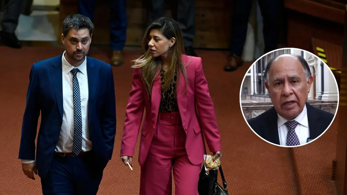 Diputados Manouchehri y Cicardini presentan Acusación Constitucional contra ministro Simpertigue por conflicto de interés