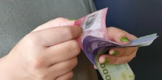 Descubre los bonos y beneficios estatales para familias y trabajadores en noviembre.