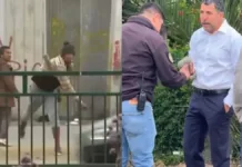 Comerciantes informales atacan a equipo de prensa en La Florida durante desalojo de feria navideña El alcalde de La Florida se mantiene firme tras el ataque violento.