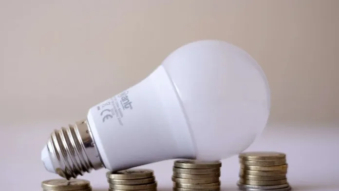 Conoce quiénes pueden acceder al Subsidio Eléctrico y ahorrar en su factura de luz.