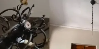 Accidente en La Moneda: lámpara colgante cae y hiere a un funcionario.