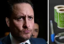 Alcalde de Puerto Montt critica a Servel por costos de elecciones y falta de apoyo en implementación Servel aclara que las elecciones no afectan económicamente a los municipios.