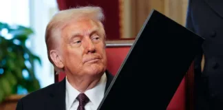 El Consejo de Seguridad de la ONU respalda el plan de paz de Trump para Gaza.