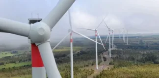 SMA formula cargos a Parque Eólico por incumplimientos y muerte de cóndores.