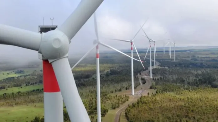 SMA formula cargos a Parque Eólico por incumplimientos y muerte de cóndores.