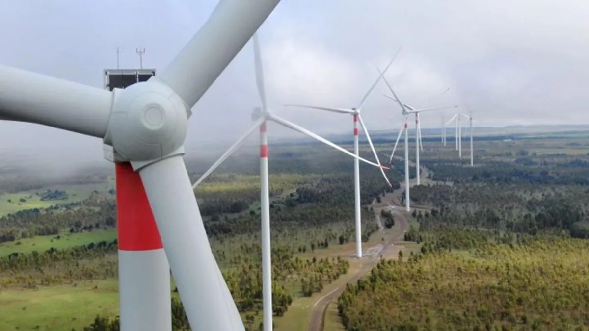 SMA formula cargos a Parque Eólico por incumplimientos y muerte de cóndores.