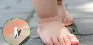 Niño de 3 años escapa descalzo del jardín infantil en Valdivia