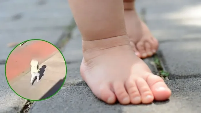 Niño de 3 años escapa descalzo del jardín infantil en Valdivia Niño de 3 años escapa descalzo del jardín infantil en Valdivia