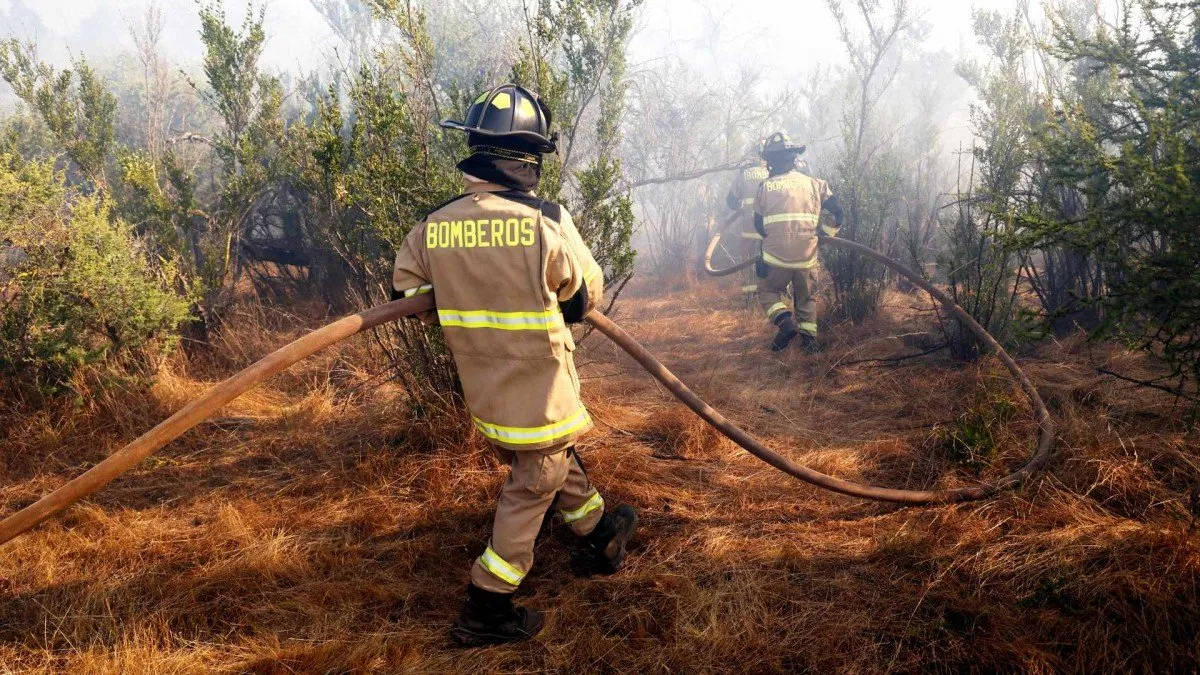 Bomberos confirman que un voluntario inició el incendio en Pocochay.