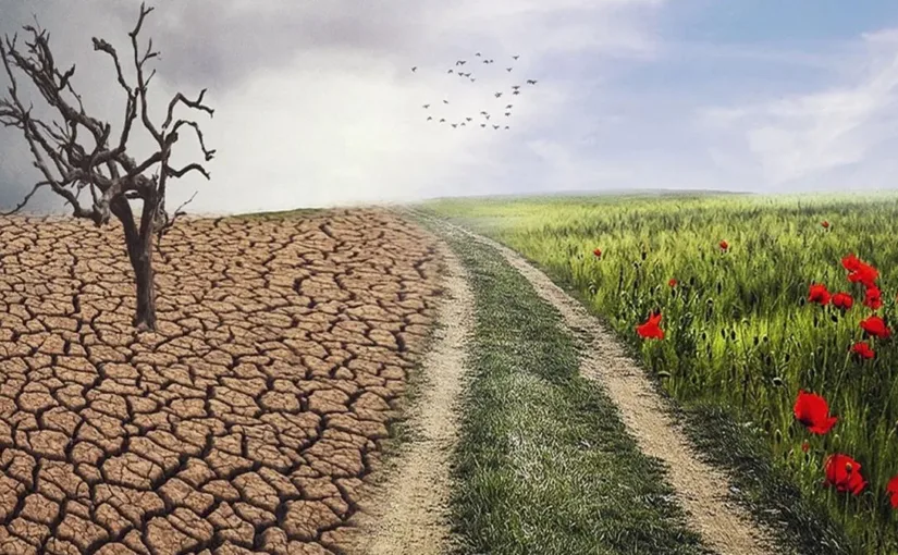 Contraloría aclara requisitos y límites del Plan de Mitigación del Cambio Climático del Ministerio de Salud para su implementación