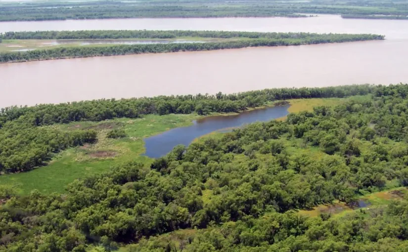 La Corte Suprema exige un plan contra incendios en el Delta del Paraná.