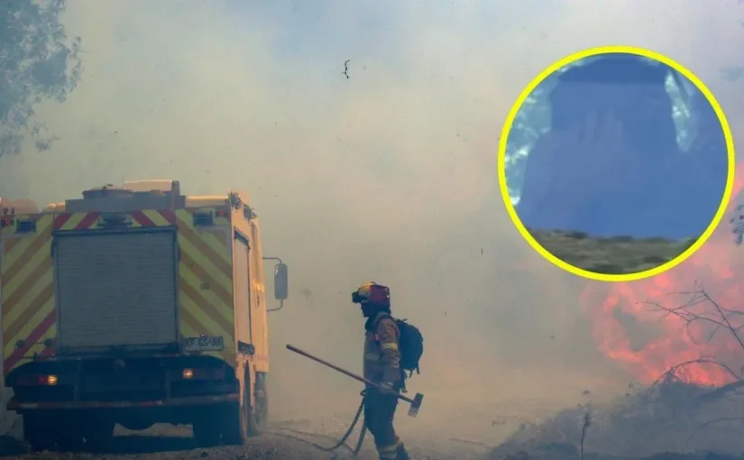 Detienen a hombre de 71 años por incendios forestales en Pichidehua.