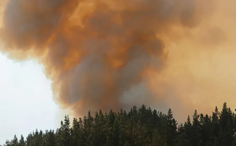 MOP anuncia 99% de avance en posadas para combatir incendios en Los Ángeles.