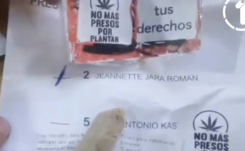 Insólito hallazgo en urna electoral: votante apoya a Jeannette Jara con un cigarro de marihuana y mensaje legalizador