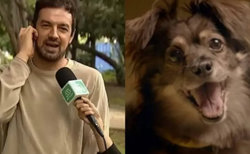 Tomás Vodanovic expresa su decepción por el perrito de Lipigas tras polémica de mensajes políticos y hackeo