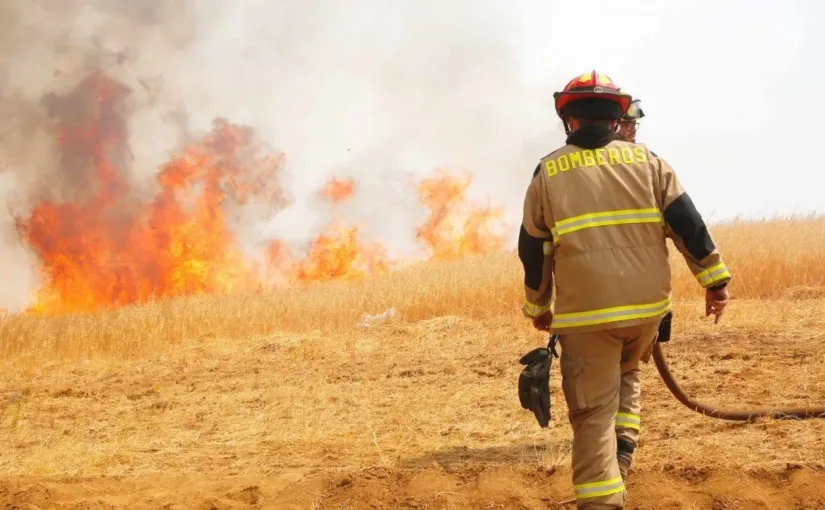 Incendio forestal en Litueche: Alerta Roja y evacuaciones tras consumir 550 hectáreas y tres viviendas en la región