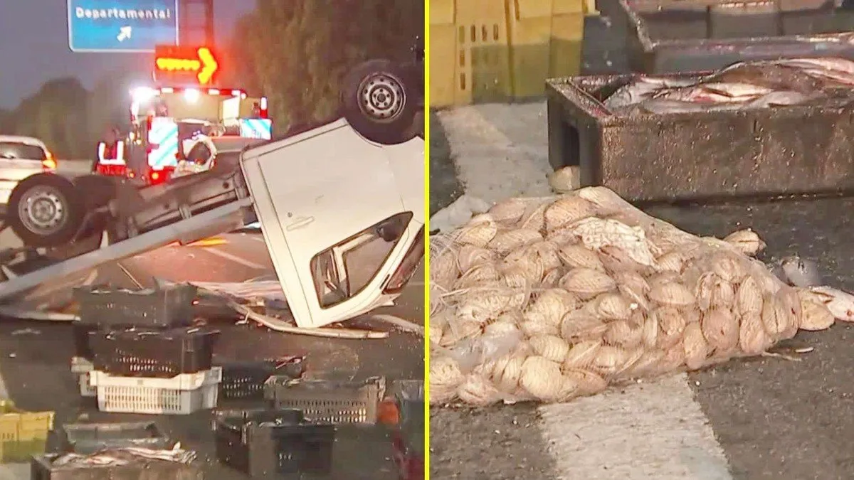 Accidente en Autopista Central deja dos heridos y congestión por volcamiento de camión de mariscos