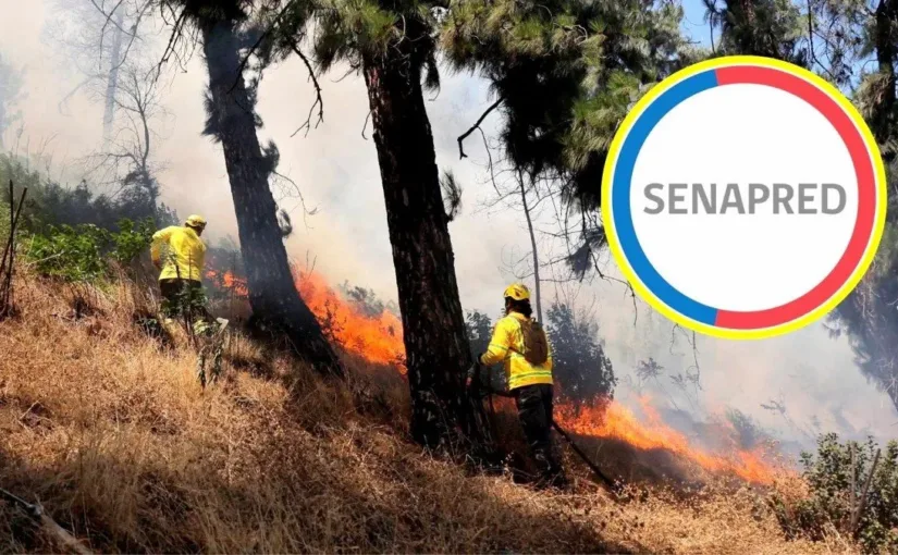 Evacuación urgente en Mulchén: Senapred declara Alerta Roja por incendio forestal que amenaza sectores poblados en Biobío