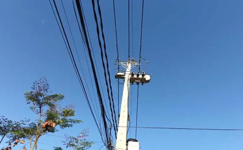 Informe sugiere migrar a un modelo de empresa brownfield para mejorar la distribución.