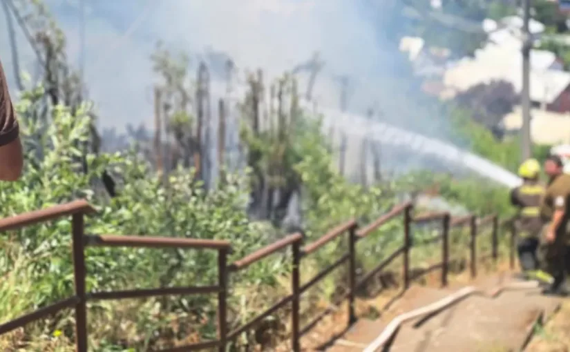 Municipio de Penco inicia acciones legales contra responsables de incendios forestales intencionales que amenazan a la comunidad