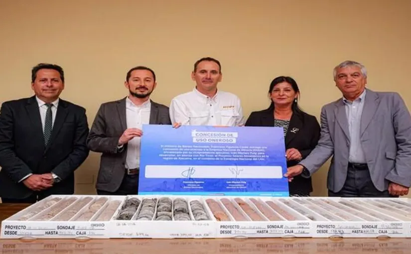 Ministerio de Bienes Nacionales aprueba concesión a Enami para litio en Salares Altoandinos y CNE autoriza desmantelamiento de línea Collahuasi-Quebrada Blanca