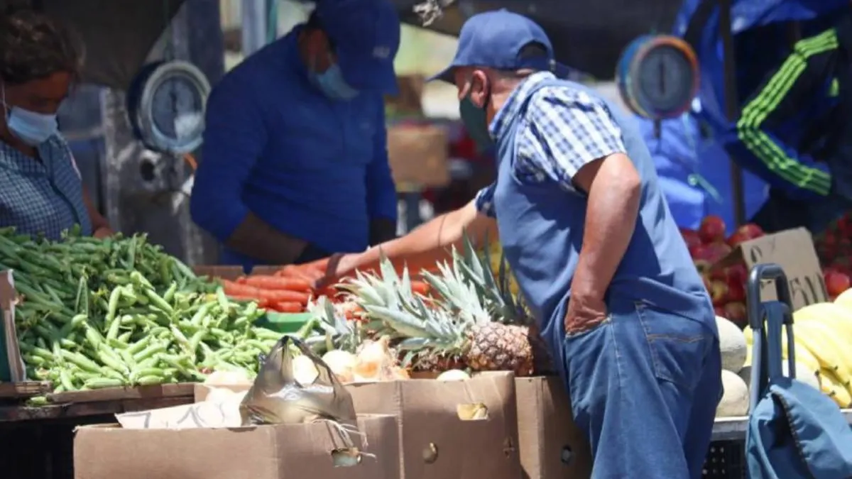 Feriantes condenados por agredir a Carabineros y conductor por intento de atropello.