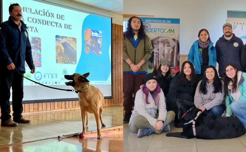 Adiestramiento de mascotas para el cuidado de adultos mayores en Puerto Montt.