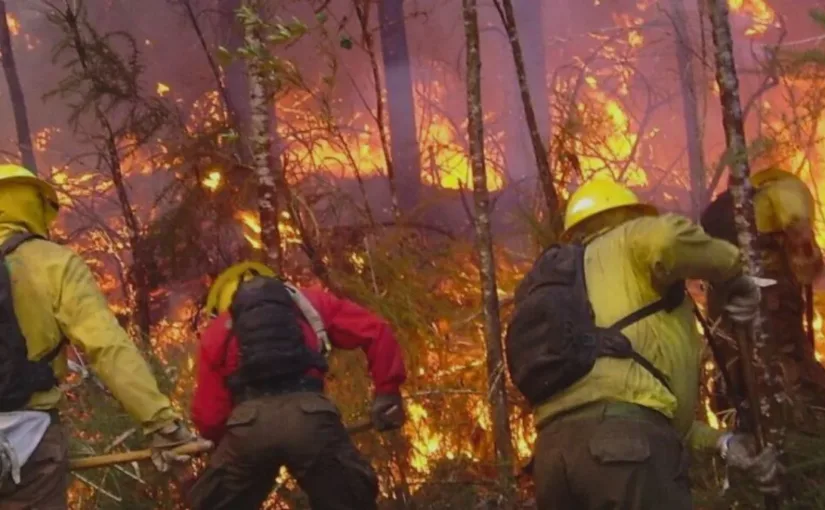 Incendios en Ñuble y Bío Bío: 19 muertos y 1.500 damnificados por el fuego.