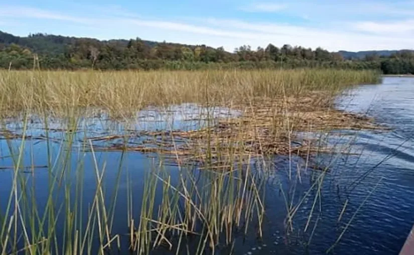 Diputado Benjamín Moreno propone suspender declaración de nuevos sitios prioritarios hasta que se dicte reglamento de Ley SBAP
