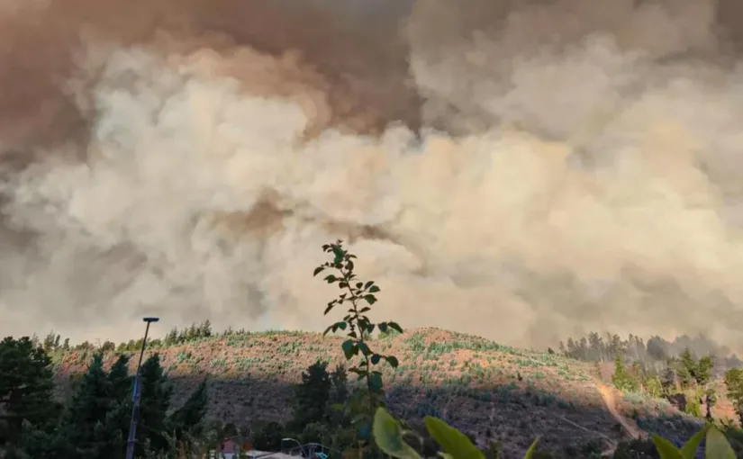 Incendios en Bío Bío y Ñuble causan segunda víctima; avance devastador de 1.600 ha.