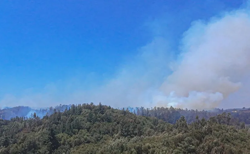 Corma alerta sobre ola de calor que podría reactivar incendios en Bío Bío y Ñuble.