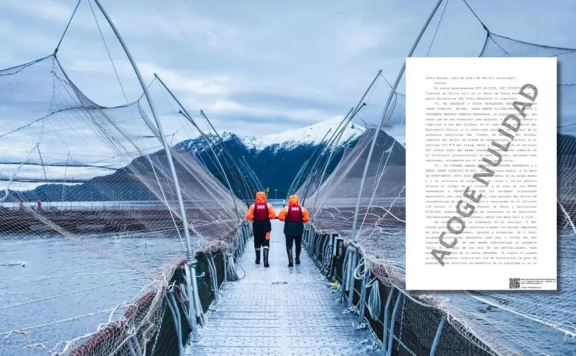 Corte de Apelaciones absuelve a exejecutivos de Nova Austral por falta de daño ambiental, pese a sobreproducción de salmones