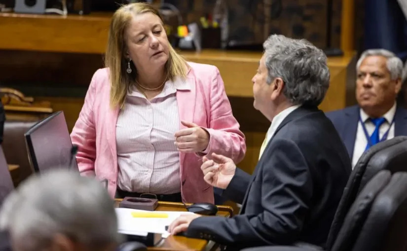 El Senado ratifica a Orellana y Riquelme en el Consejo de Alta Dirección Pública.