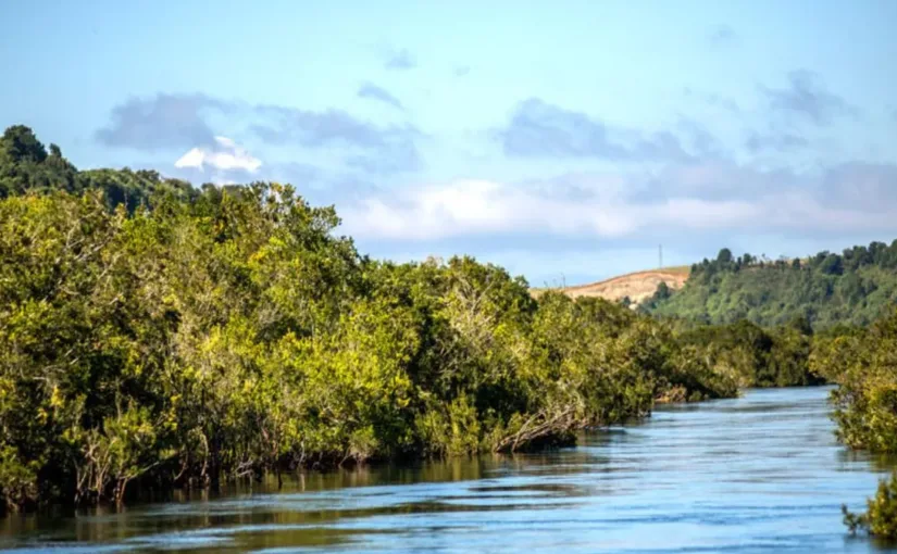Rescate exitoso de menor en el río Maullín, mientras un adulto sigue desaparecido en la búsqueda