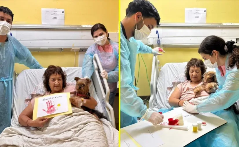 El Hospital San Pablo permite visitas de mascotas a pacientes en UTI