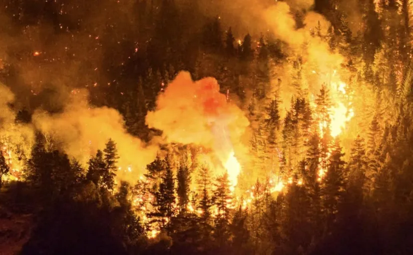 Incendios devastadores en la Patagonia: Chile ofrece apoyo a Argentina en medio de la emergencia forestal