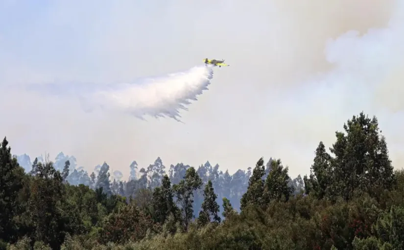 Emergencia agrícola en La Araucanía por pérdidas de 400 agricultores y mal clima.