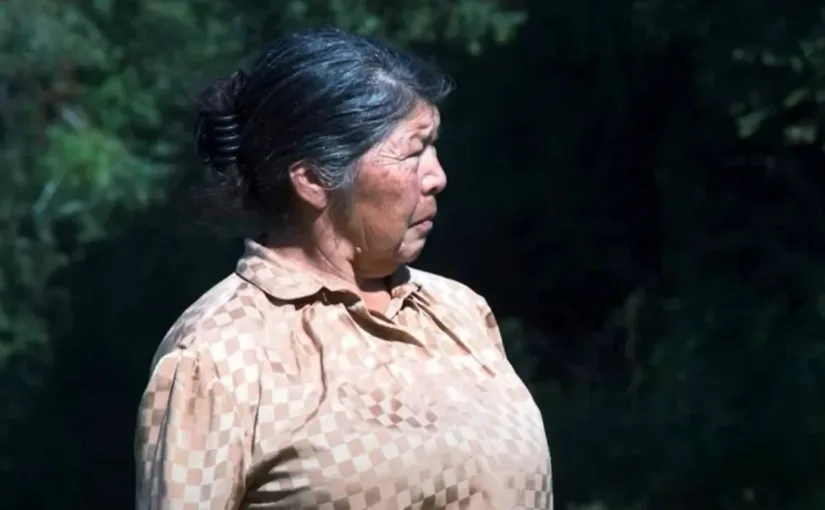 Impactante giro en el caso de Julia Chuñil: tres de sus hijos y un exyerno detenidos por su crimen