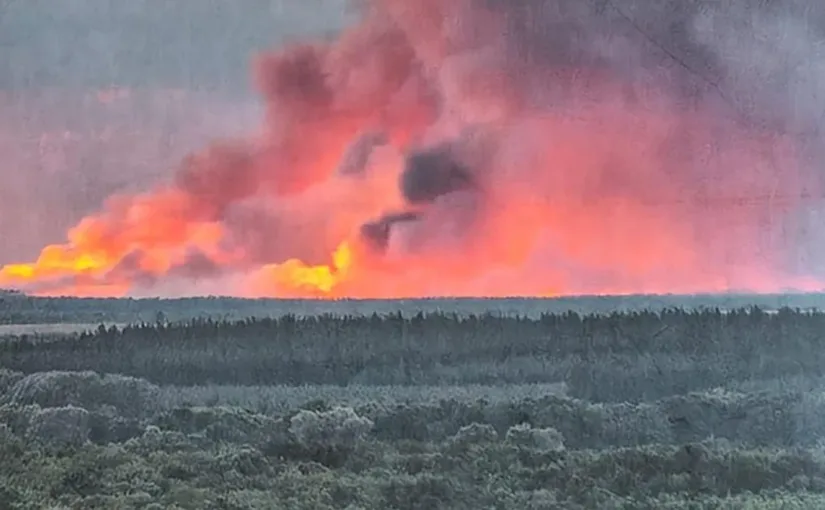 Julio Rojas enfrenta dilemas de supervivencia en un mundo en crisis.