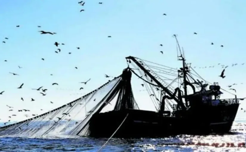 Impugnan artículo de la Ley de Pesca que limita el abandono del procedimiento en juicios por infracciones sancionatorias