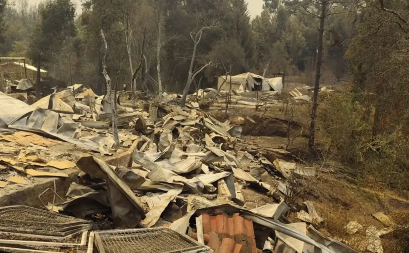 Luis 'Poncho' Venegas