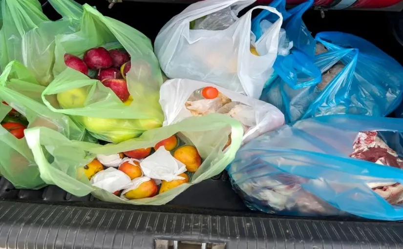 Tribunal Ambiental desestima reclamación de empresa contra el Ministerio del Medio Ambiente por interpretación de Ley N°21.100 sobre bolsas plásticas